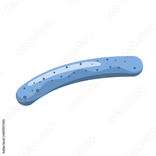 Lactobacillus probiotic bacteria