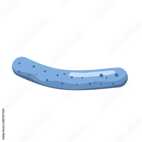 Lactobacillus probiotic bacteria