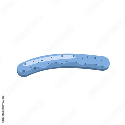 Lactobacillus probiotic bacteria