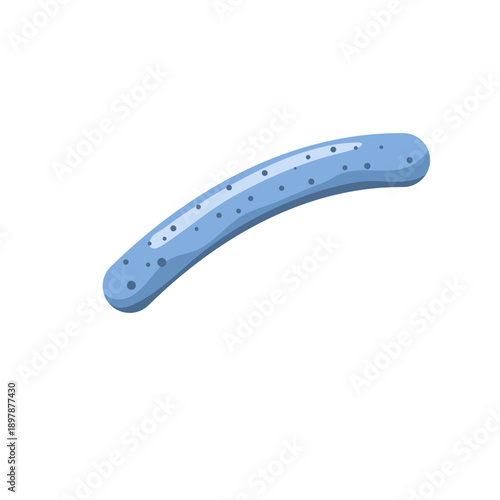 Lactobacillus probiotic bacteria