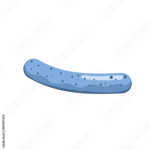 Lactobacillus probiotic bacteria