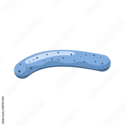 Lactobacillus probiotic bacteria