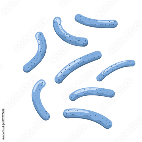 Lactobacillus probiotic bacteria