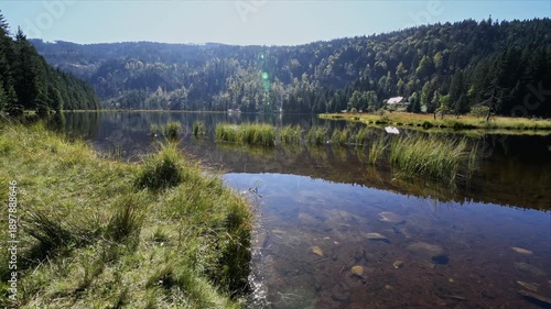 Small Arber mountain lake with reflections and forest landscape - tripod panorama in Bavarian Forest