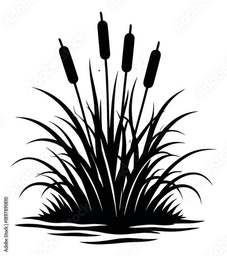 Graphic illustration of cattails and reeds depicting natural plant growth for nature themed designs