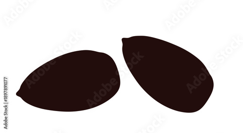Two dark brown almond shapes isolated on a white background