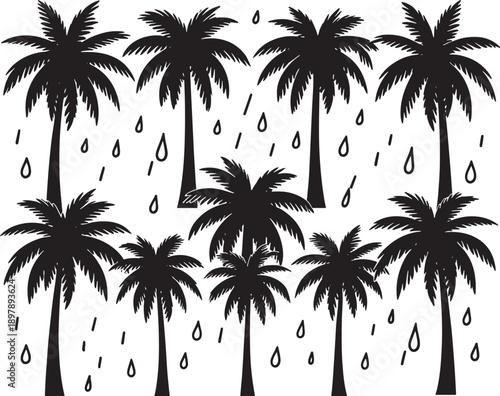 Palm trees and rain drops, tropical weather, vacation and summer vacation concept, black and white