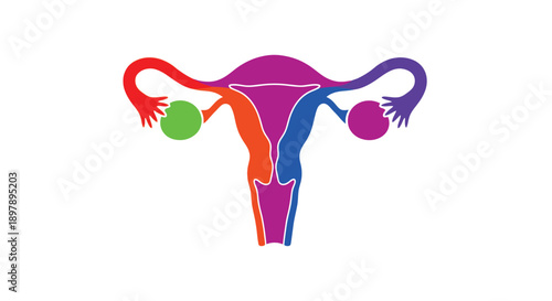 Colorful illustration depicting a female reproductive system with ovaries and fallopian tubes
