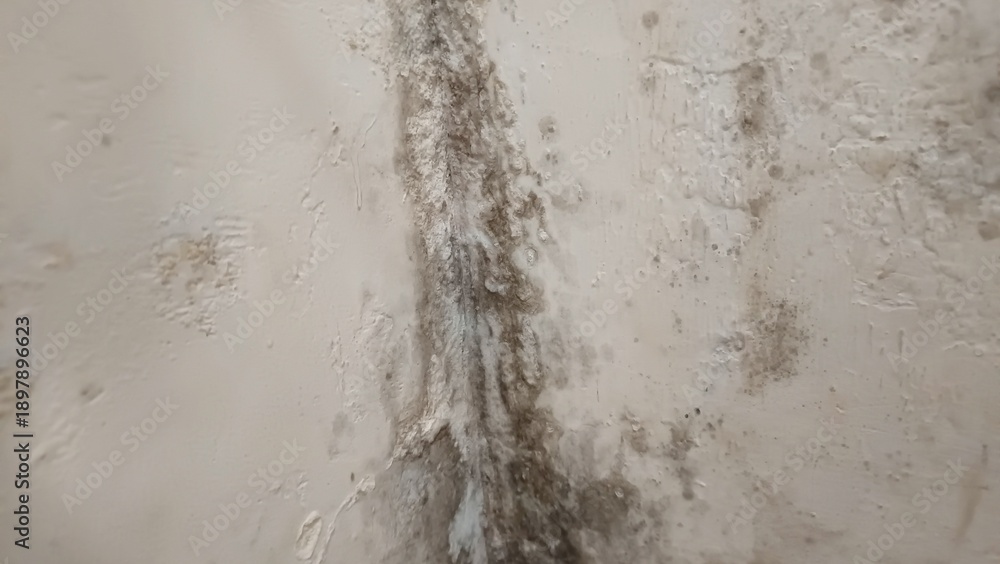 Fototapeta premium ​Dirty white concrete wall texture with mold and damp patches caused by water damage and high humidity.