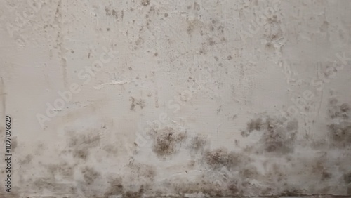 Fotografía ​Dirty white concrete wall texture with mold and damp patches caused by water damage and high humidity