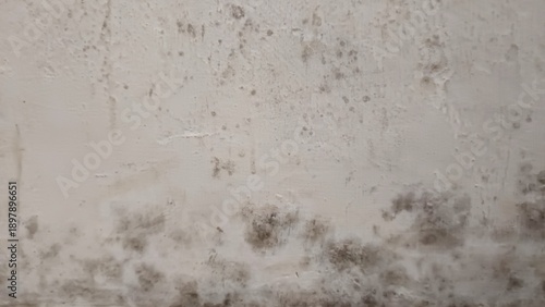 Billede på lærred ​Dirty white concrete wall texture with mold and damp patches caused by water damage and high humidity