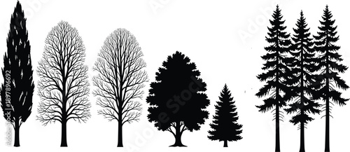 Black Tree Silhouette Set Featuring Pine Spruce Oak and Palm Trees With Roots Isolated on White Background for Nature Landscape Design and Botanical Illustrations