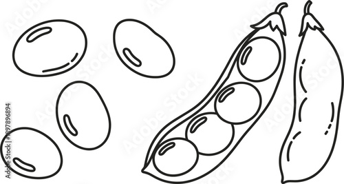 Beans and Pea Pod Outline Illustration, Hand Drawn Black and White Legume Vector Set
