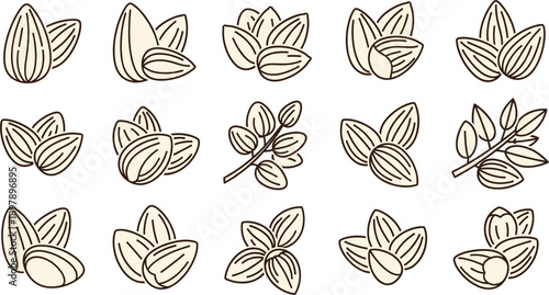 Almond Nuts and Branches Set, Hand Drawn Outline Healthy Snack Vector Illustration Collection