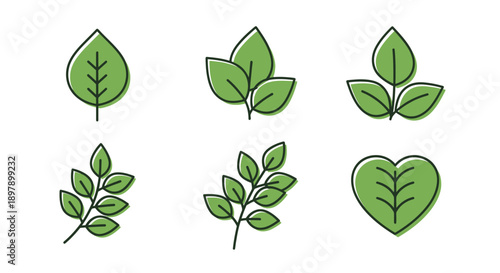 Set of six stylized green leaf icons with black outlines, depicting various plant foliage designs.