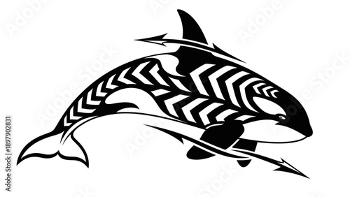Black and white orca illustration with zebra pattern.