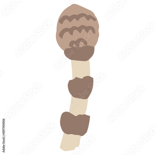 3月の園だよりに使いやすい シンプル手描きイラストカットシリーズ｜つくし / Simple Hand-Drawn Illustration for March Newsletter | Horsetail Plant