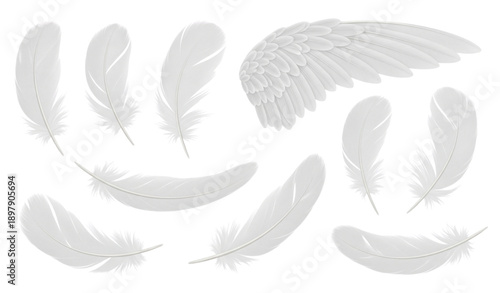Realistic white feather vector set isolated on transparent background with soft down plumes