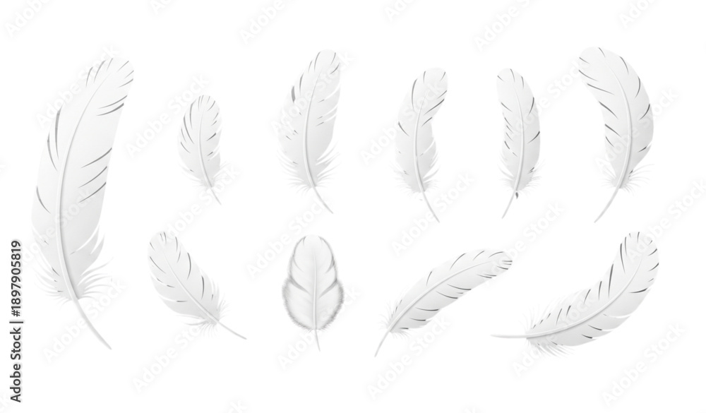 Fototapeta premium White bird feather realistic vector icons set with soft down isolated on transparent background