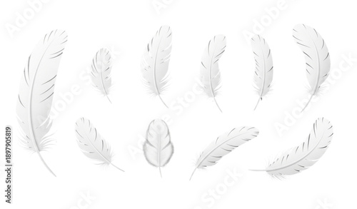 White bird feather realistic vector icons set with soft down isolated on transparent background