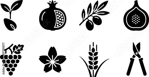 Tu Bishvat fruit and agriculture icons, vector illustration