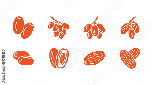 The Date Fruit icon is a vector illustration that comes with an editable stroke. Its pixel-perfect quality makes it suitable for apps, websites, and presentations.
