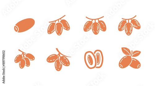 This Date Fruit icon is designed as a vector illustration with an editable stroke. Being pixel-perfect, it's ideal for use in apps, websites, and presentations.
