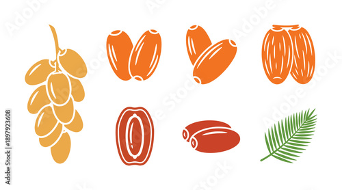The dates fruit has been set. An icon representing the collection of dates fruit. This is a vector illustration.