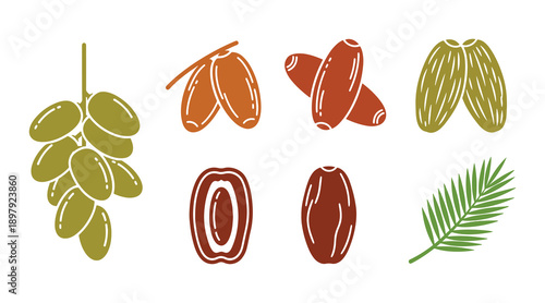 Dates are all set. A collection of date fruit icons. Vector design.