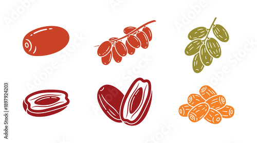 Date fruits are ready to be picked. Icon collection of date fruits. Vector graphic.

