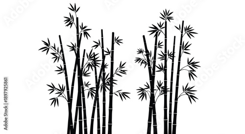 A simple black and white illustration of several bamboo stalks with leaves