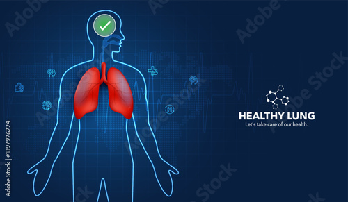 Medical vector of healthy lungs on human body silhouette. Concept of respiratory system, internal organ health, anatomy care, and pulmonary technology with blue digital background.