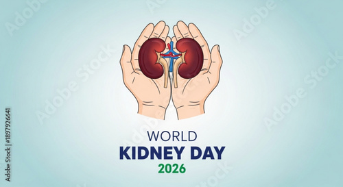 World kidney day 2026 awareness illustration with hands holding kidneys and a blue cross
