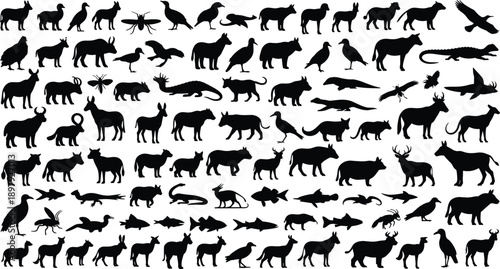 Collection of black animal and insect silhouettes on white background bird fish