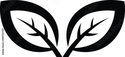 Stylized black leaves with prominent veins on a clean white background plant nature