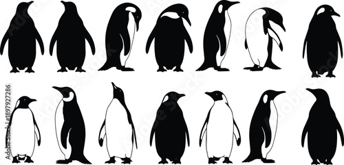Collection of black and white penguin silhouettes in various poses and species bird