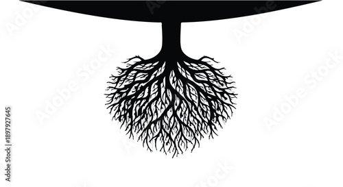 Intricate tree roots spread outward, symbolizing growth and connection against a clean background.