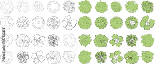 Set of architecture tree plan symbols for landscape design and site planning