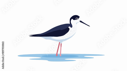 Stylized black and white bird with long pink legs stands in shallow blue water