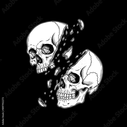 Two skulls splitting apart in a striking black and white illustration.