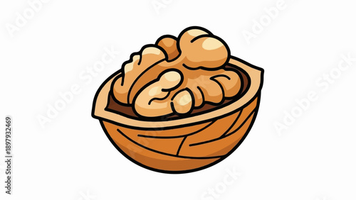 Stylized illustration of a half walnut with kernels