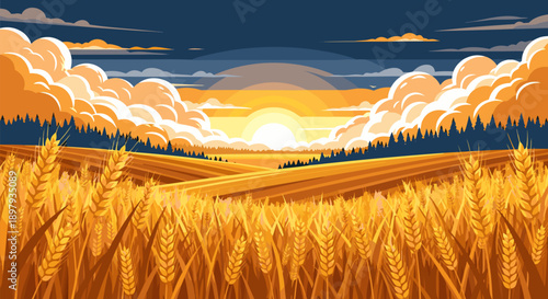 Golden wheat field at sunset, vector illustration with dramatic clouds and trees
