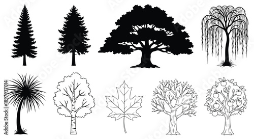Collection of diverse tree silhouettes and line art illustrations