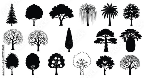 Collection of diverse tree silhouettes in black and white