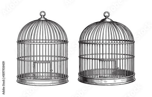 Metal Birdcage Wire Engraving Illustration