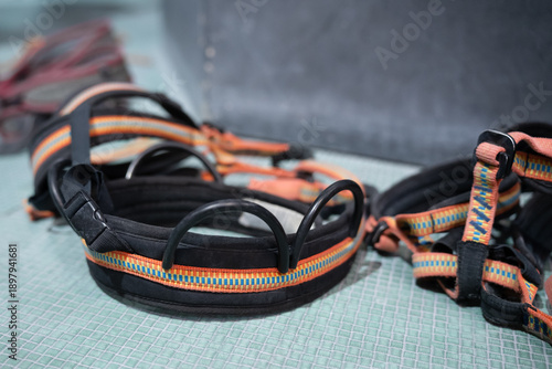 Εκτύπωση καμβά Safety harness for work at height and industrial climbing