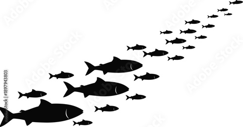 School of fish silhouette swimming diagonally in ocean, leadership and business growth concept, teamwork direction strategy, minimal black and white vector illustration design