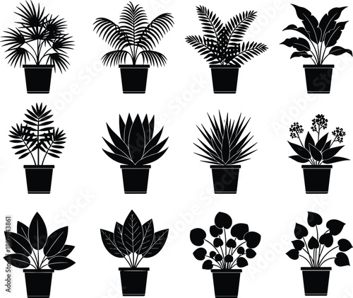 Set of indoor houseplants silhouettes in pots, botanical collection, minimal black vector icons, decorative foliage plants, isolated on white background illustration