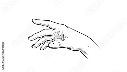 Elegant Hand Reaching Out, Gesture of Invitation or Request, Line Art Illustration