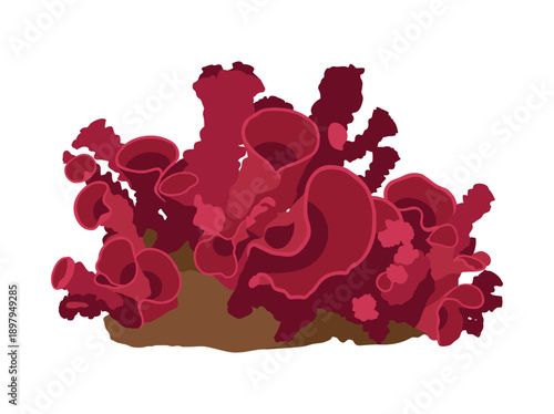 Red coral reef illustration on a transparent background ocean underwater world decor